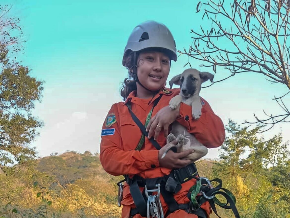 Bomberos rescata a un cachorro de un pozo de 15 metros de profundidad