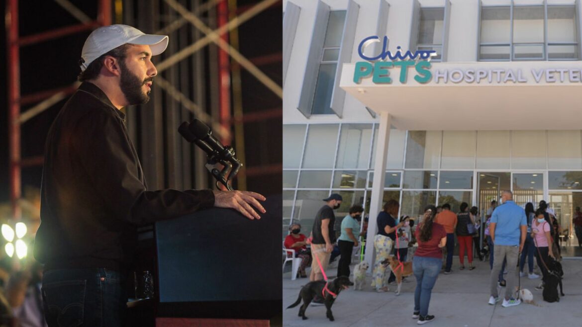 Nayib Bukele anuncia el cierre de Chivo Pets: hubo acusaciones de ser un servicio “para ricos”