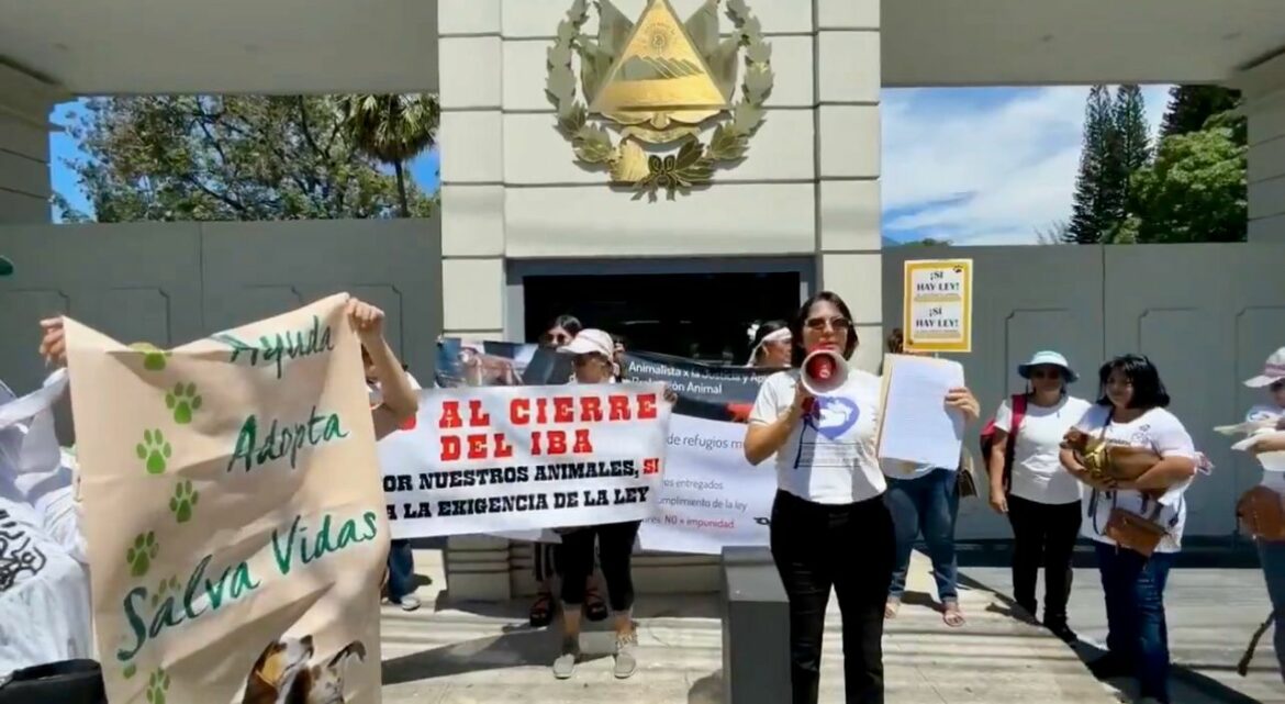 Animalistas piden la reactivación de Bienestar Animal y POLIPET