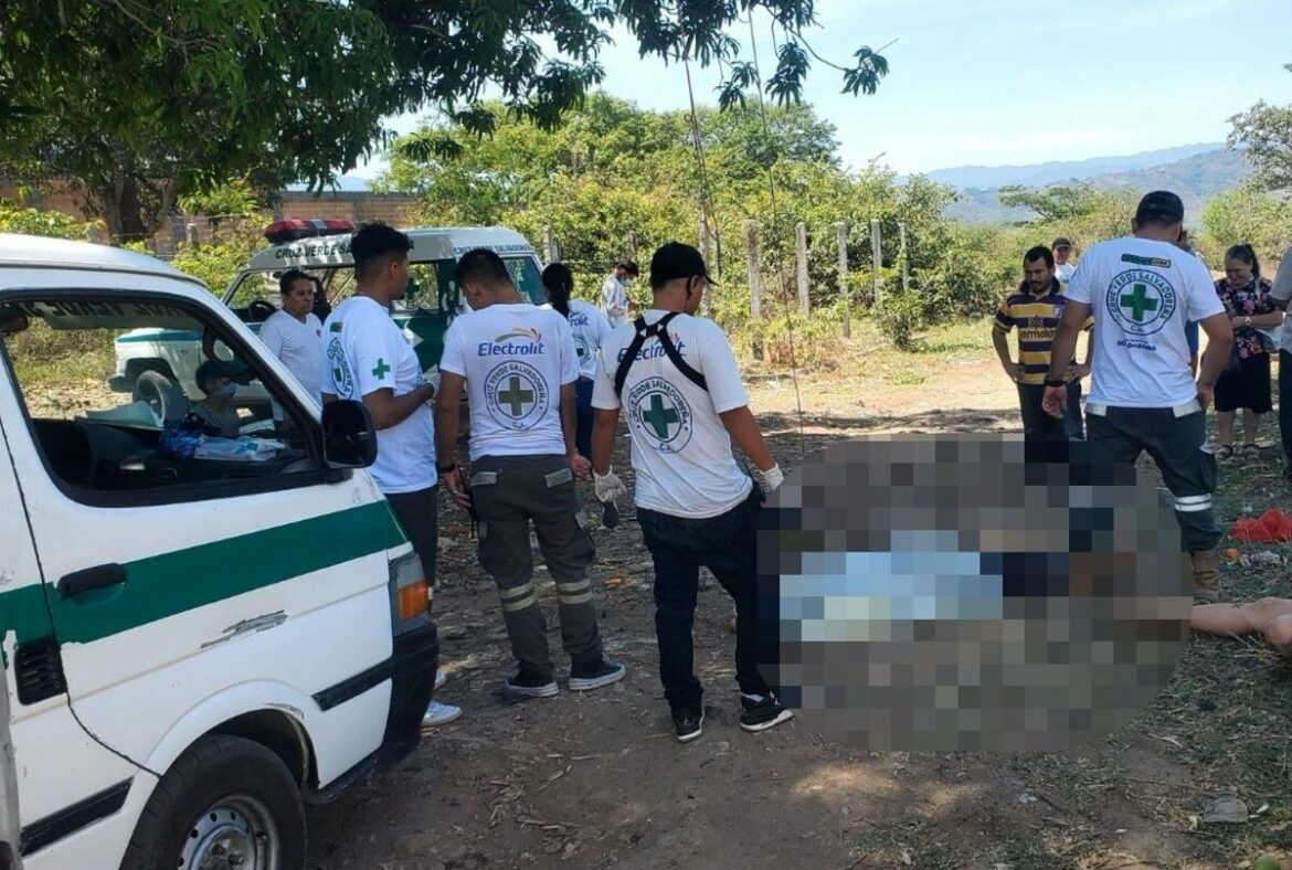 Una persona muere al caer del árbol donde recolectaba mangos