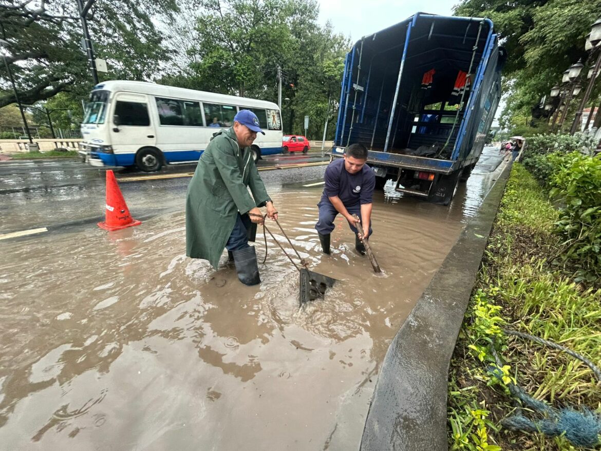 Instituciones del Gobierno ejecutaron labores ante  caídas de árboles e inundaciones por lluvias