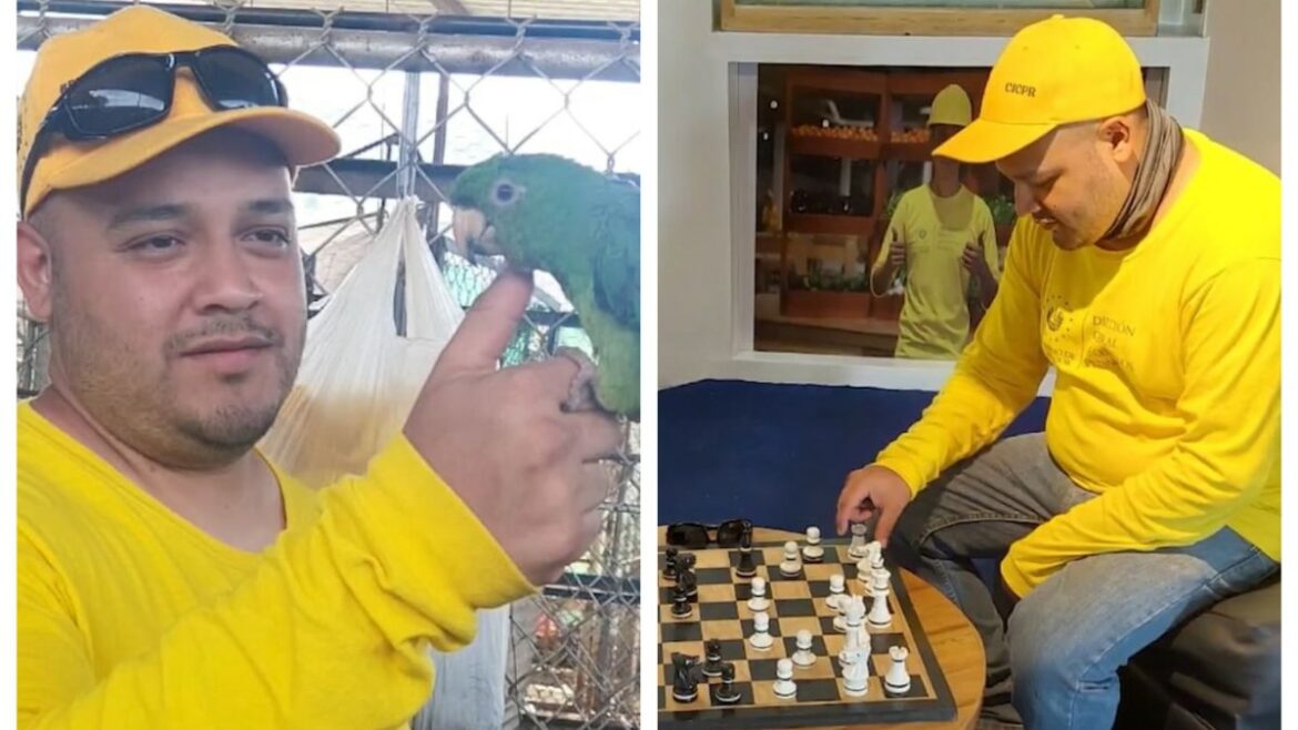 Video muestra que Kilmar Ábrego no sufrió ningún tipo de torturas en el CECOT