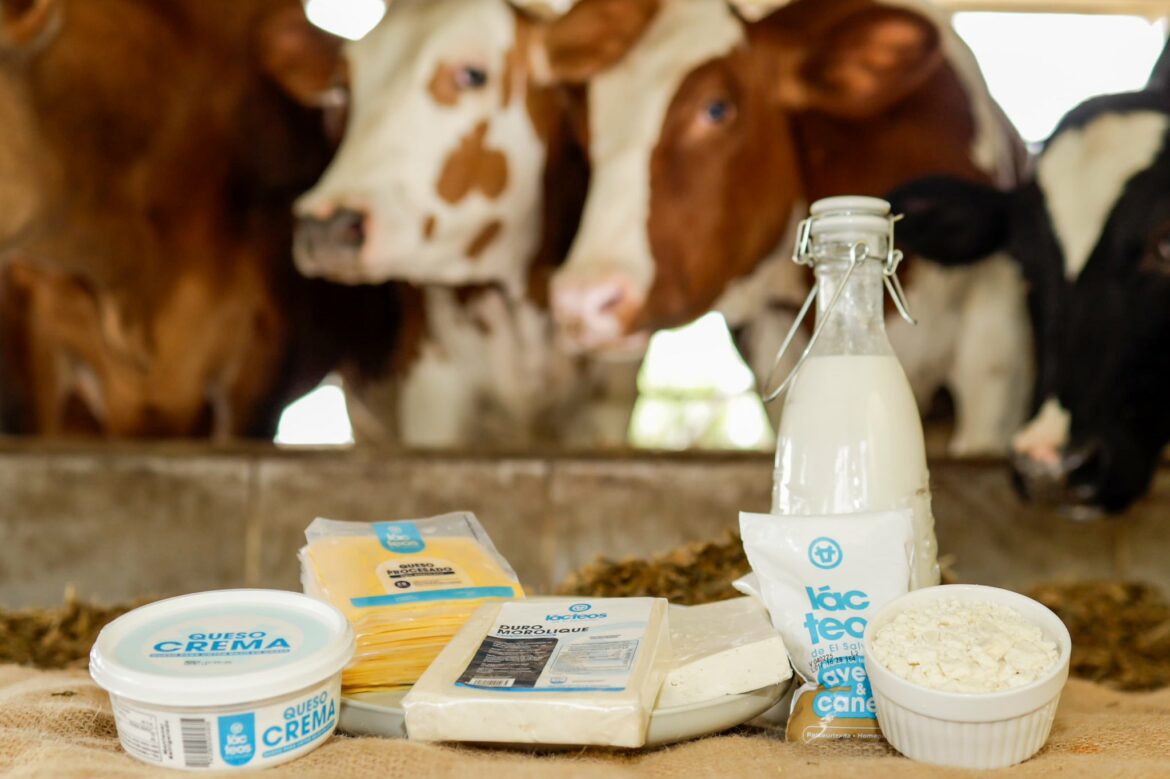 ASILECHE desmiente supuesta deuda del Gobierno con productores de lácteos