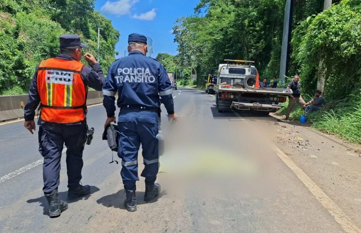 Peatón fallece tras ser atropellado por una grúa en carretera Panamericana