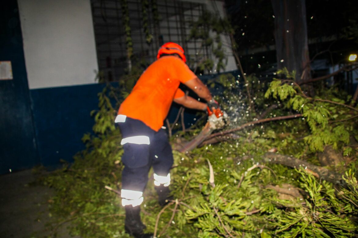 Árboles caídos afectan una escuela en Ciudad Delgado y una vivienda en Cuscatancingo