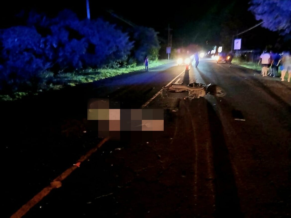 Un motociclista y su acompañante fallecen tras impactar con una vaca en la carretera Litoral, La Unión