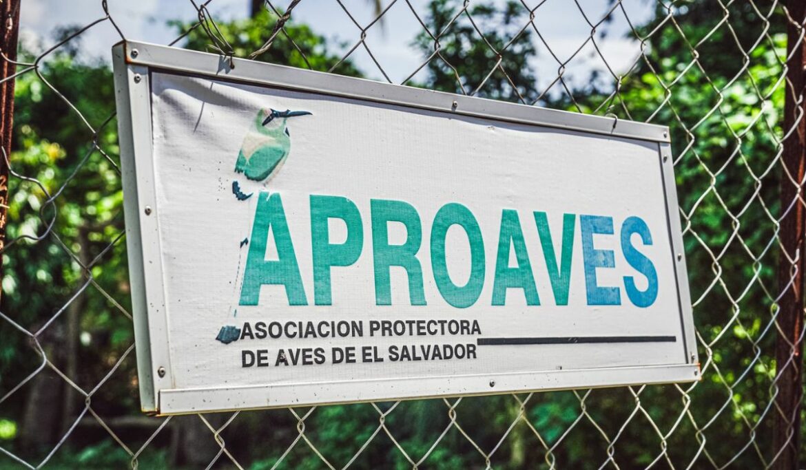 Quedan en libertad los representantes de APROAVES tras sobreseimiento en tres delitos