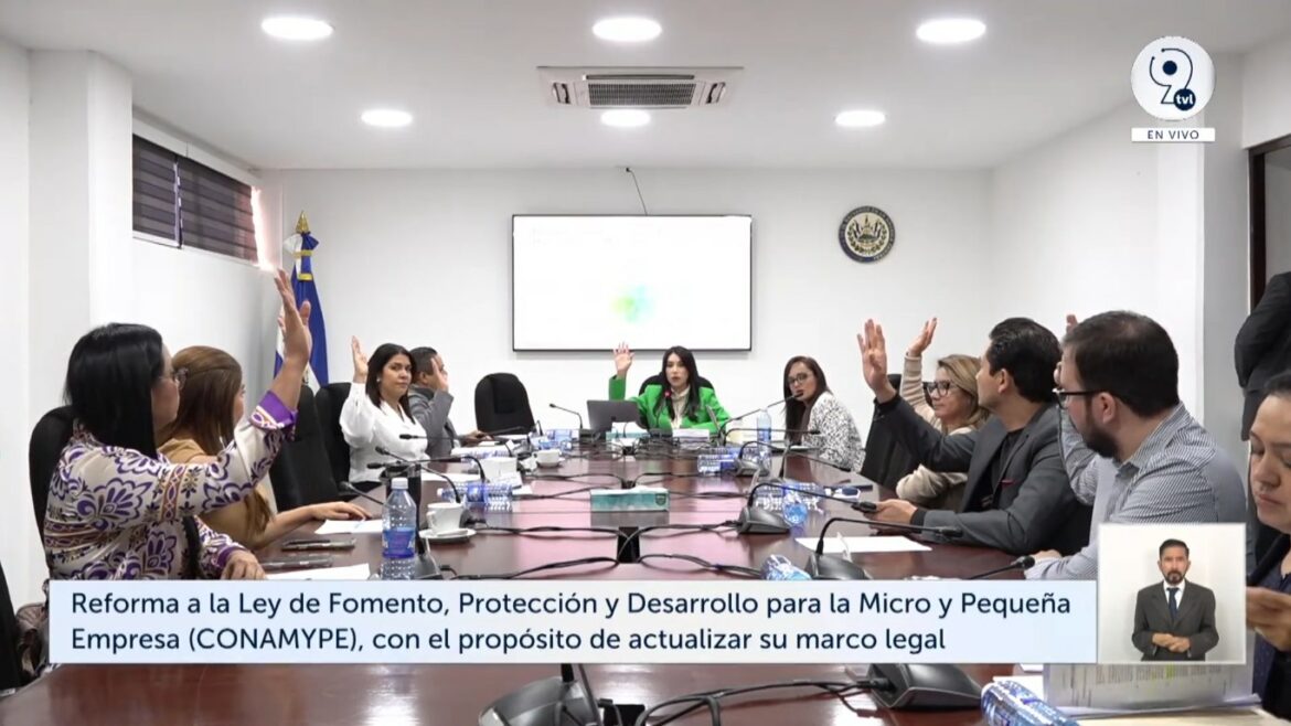Comisión respalda reformas para mejorar condiciones de las micro y pequeñas empresas