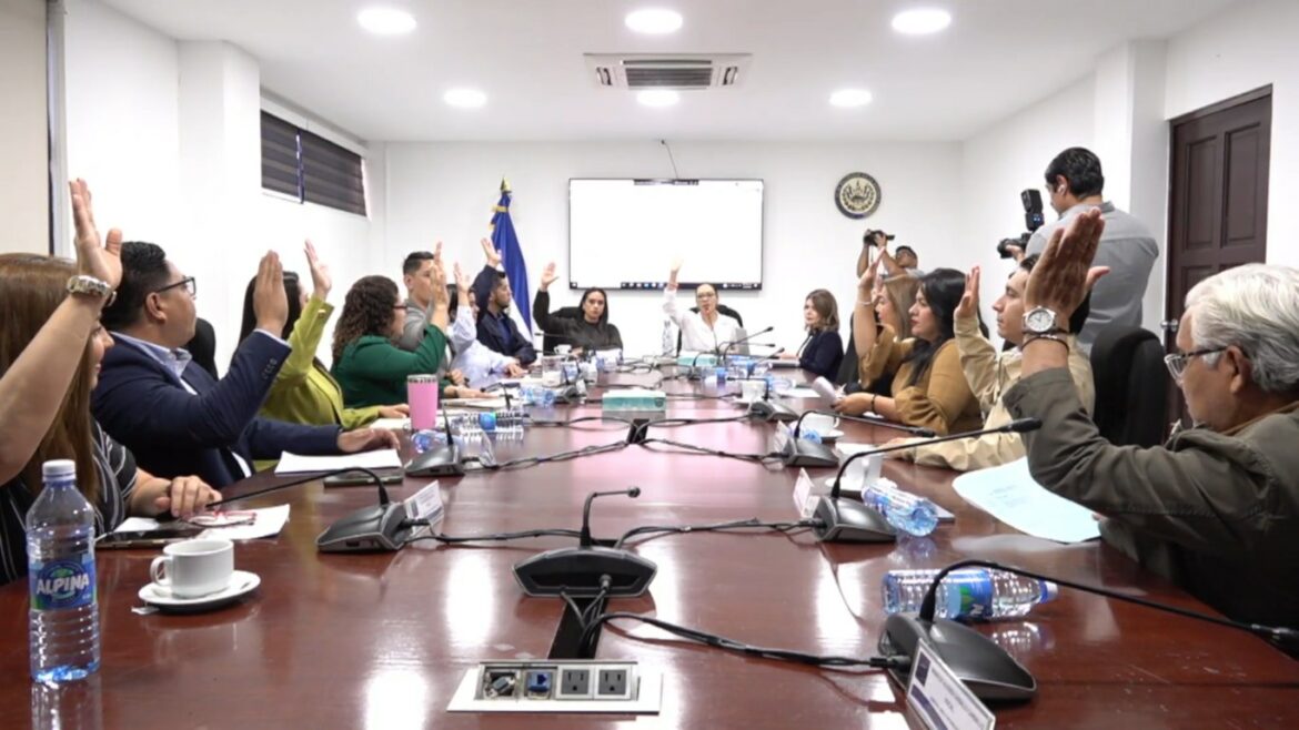 Comisión avala reformas a Ley de Lactancia para reforzar control de fórmulas y su etiquetado
