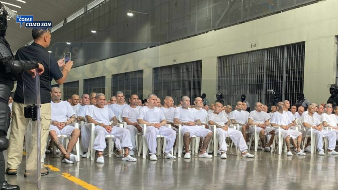 Fiscalía incorpora nuevas pruebas contra 486 cabecillas de la MS-13 en audiencia única abierta