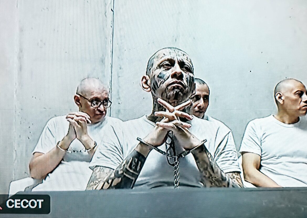 Fiscalía concluye incorporación de pruebas contra 486 cabecillas de la MS-13 en audiencia histórica