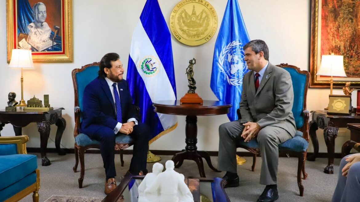 Vicepresidente Félix Ulloa articula estrategias de desarrollo con el nuevo representante del PNUD