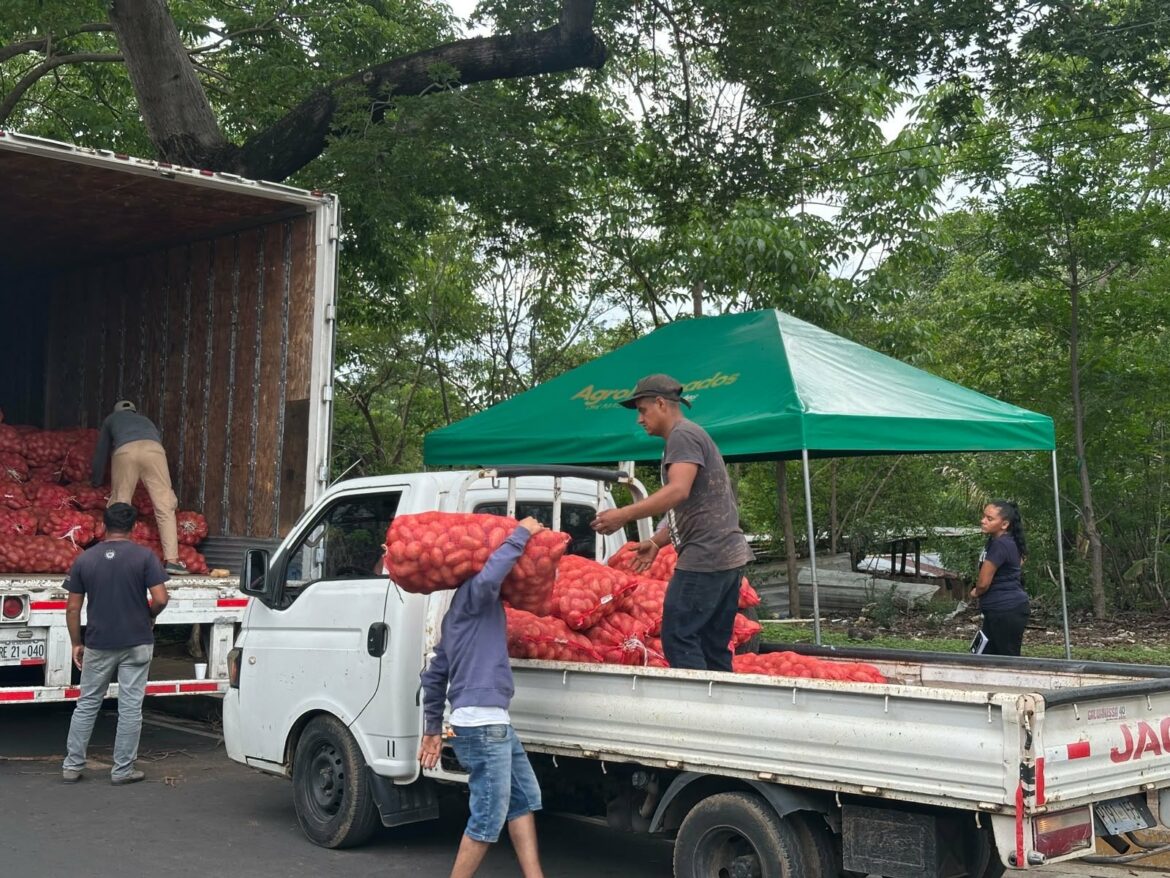 Gobierno instala punto de venta de papa a precio fijo en Sonsonate para frenar abusos