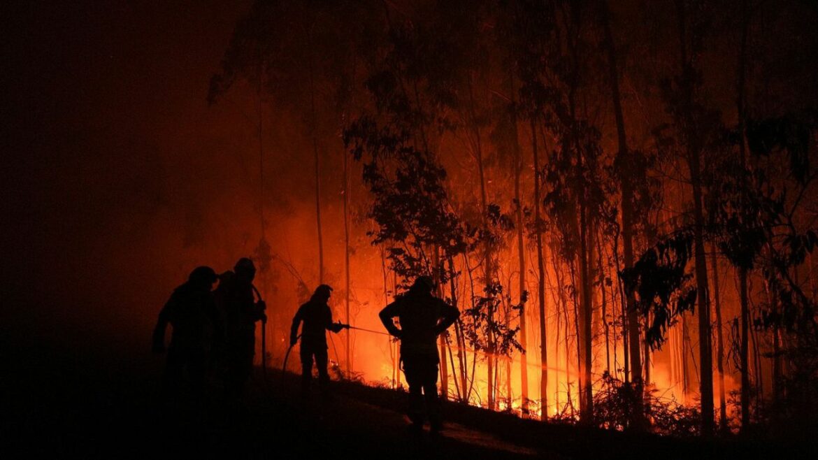 España declara emergencia por cuatro incendios forestales que dejan más de 11,500 evacuados