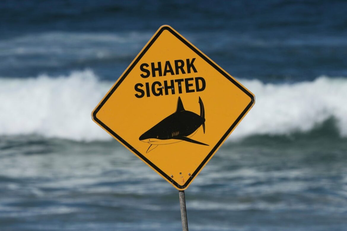 Buceador fallece tras ataque de tiburón en la costa occidental de Australia