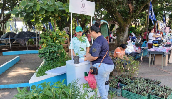 MOP Verde prepara jornada nacional para entregar árboles y plantas este sábado