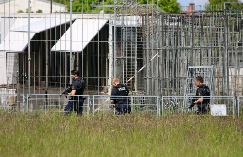 Policía alemana abate a tiros a un tigre que escapó de una propiedad privada