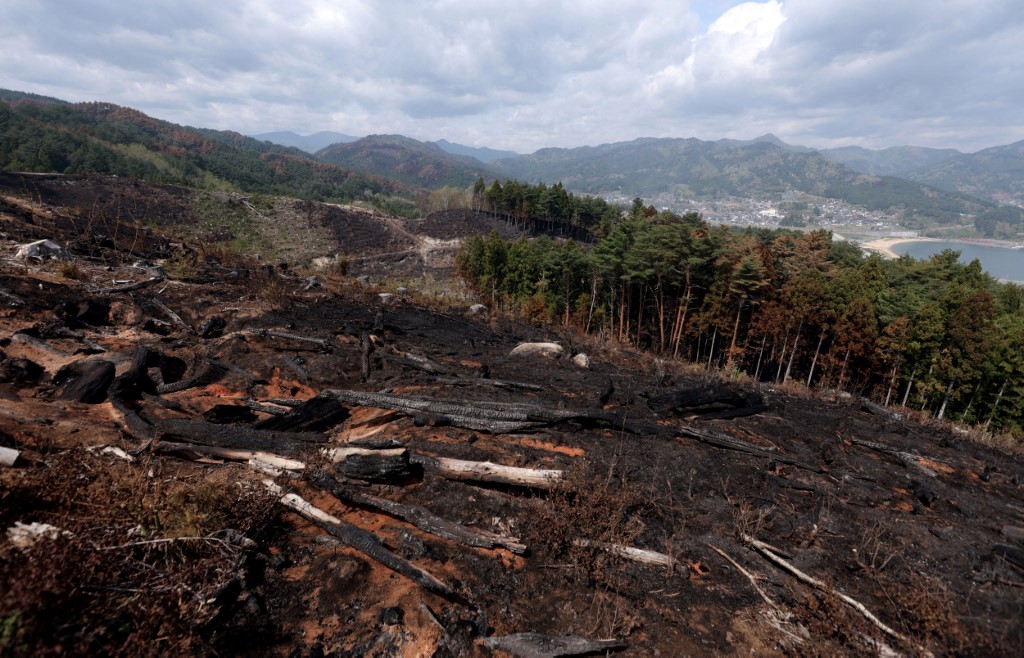 Controlan incendios forestales en Japón tras 11 días de combate en Iwate